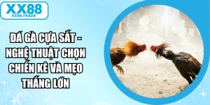 Đá Gà Cựa Sắt