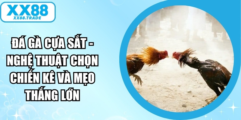 Đá Gà Cựa Sắt